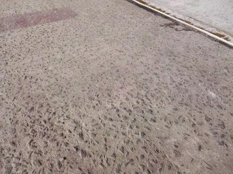  Nguyên nhân bê tông bị rỗ mặt